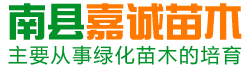 南县嘉诚苗木种植专业合作社_南县水杉|南县池杉|杉类苗木哪里好